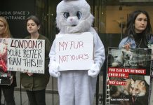 Giacche di pelle di pitone e stivali di pelle di elefante: come le nazioni occidentali ricche aiutano a guidare il commercio globale di animali selvatici