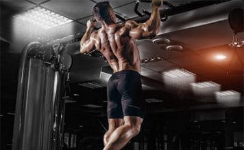 L’ultima guida di riferimento per la divisione muscolare