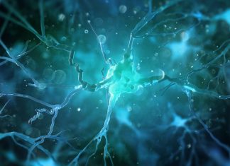 Le cellule cerebrali cresciute in laboratorio possono giocare a Pong, quindi dovrebbero avere diritti legali?