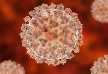 Origini del coronavirus: il dibattito divampa, ma le evidenze restano deboli